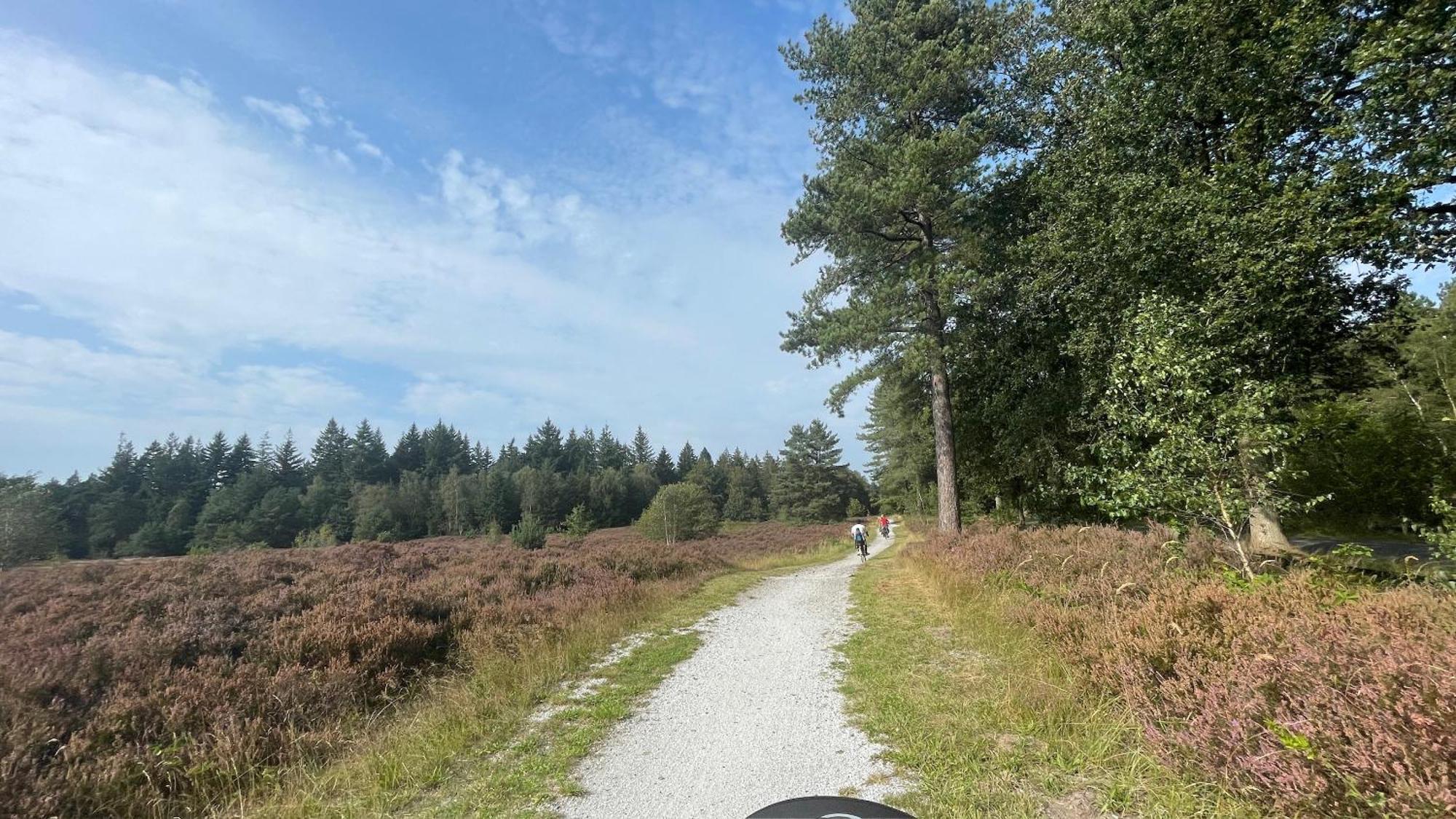 Вилла Sayang26 Gezellige Gezinsvriendelijke Stacaravan Op Familiecamping De Vossenburcht In Natuurgebied Reestdal - No Workers Allowed IJhorst Экстерьер фото